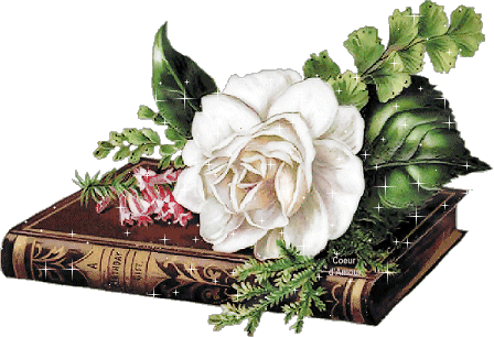 beaux livre secret