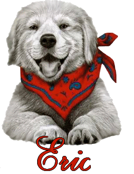 chien