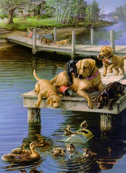 chien