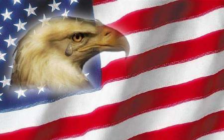 drapeaux americain