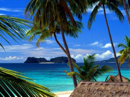 caraibe