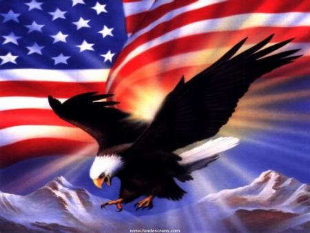 drapeaux americain
