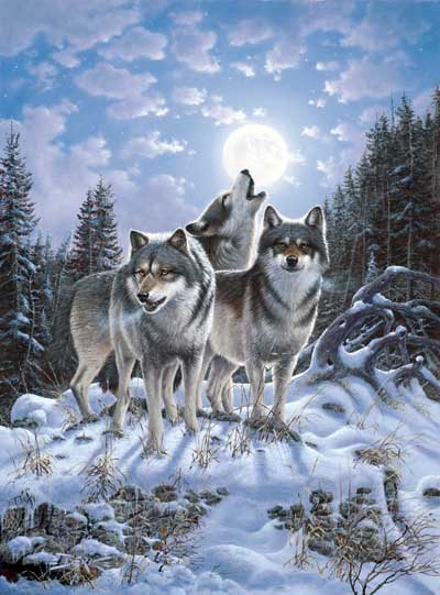 loup