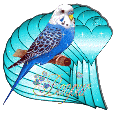 canari