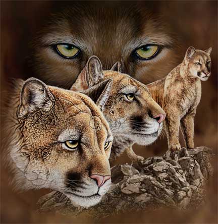 tigre