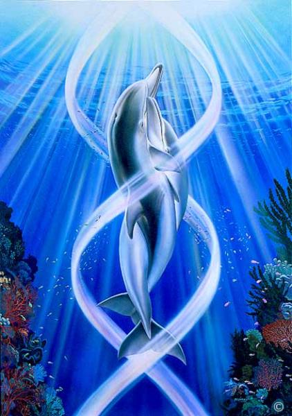 dauphins