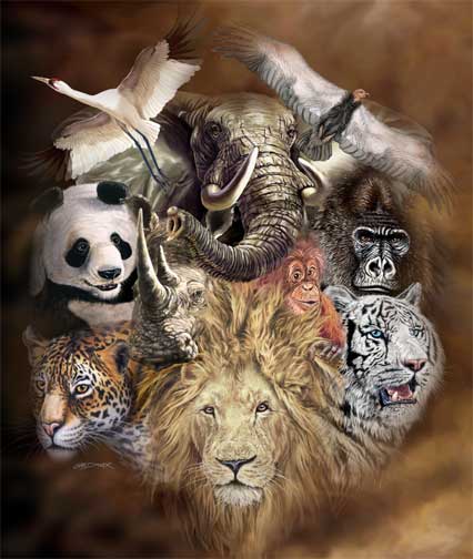 animaux