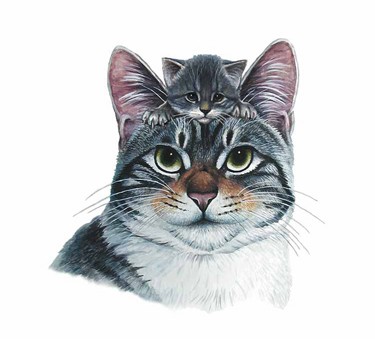 LE CHAT