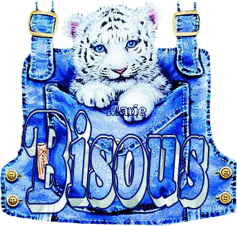 bissous
