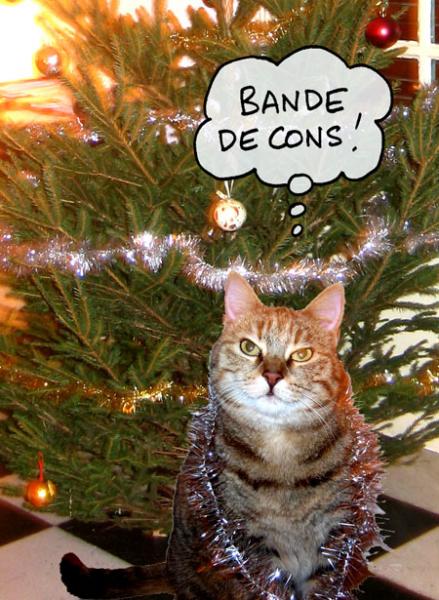 chat