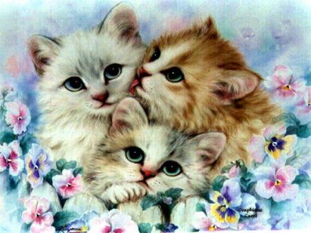 chat
