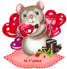 sourie