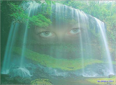 foret