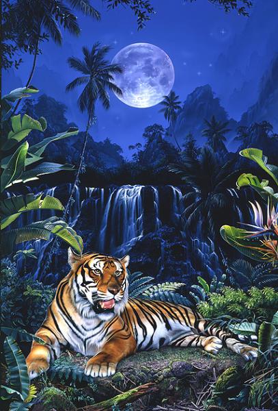 tigre