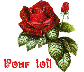rose