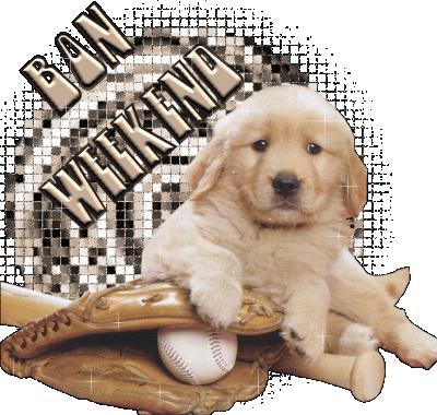 chien