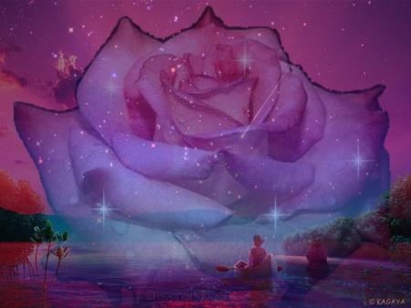rose