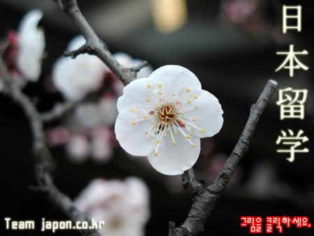 le japon