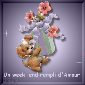 chien