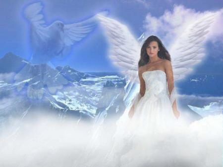 ange
