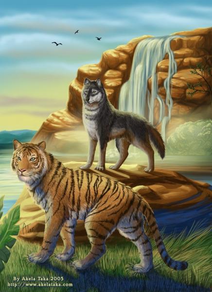 tigre