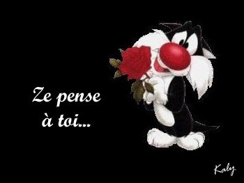 LE CHAT