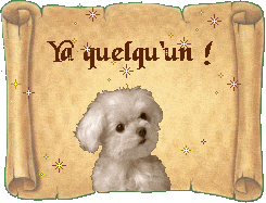 chien