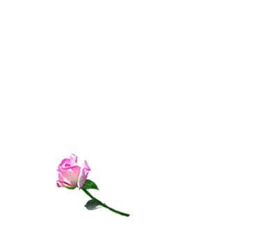 coeur