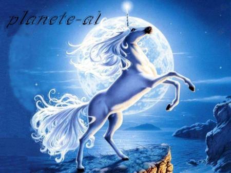 CHEVAL
