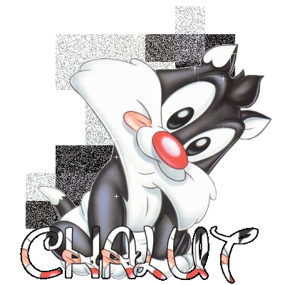 LE CHAT