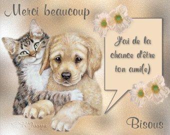 CHIEN